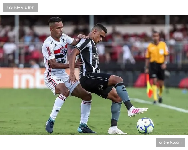 米内罗竞技客场逼平博塔弗戈 积分榜居中游位置